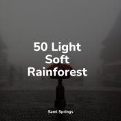 50 Light Soft Rainforest