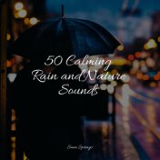 50 Calming Rain and Nature Sounds