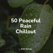 50 Peaceful Rain Chillout