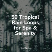 50 Tropical Rain Loops for Spa & Serenity