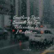 Soothing Rain Sounds for Zen Relaxation & Meditation