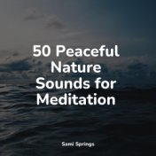 50 Peaceful Nature Sounds for Meditation