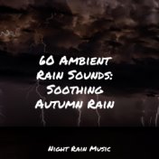 60 Ambient Rain Sounds: Soothing Autumn Rain