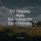 50 Amazing Rain Recordings for Spa & Massage
