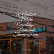 50 Ambient Nature Recordings - Rain and Thunderstorms