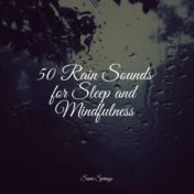 50 Rain Sounds for Sleep and Mindfulness