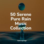 50 Serene Pure Rain Music Collection