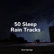 50 Sleep Rain Tracks