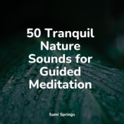 50 Tranquil Nature Sounds for Guided Meditation