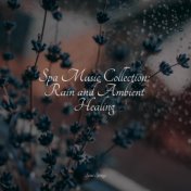 Spa Music Collection: Rain and Ambient Healing