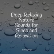 Deep Relaxing Nature Sounds for Sleep and Relaxation