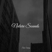 Nature Sounds