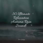 50 Ultimate Relaxation Autumn Rain Sounds