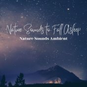 Nature Sounds to Fall Asleep: Nature Sounds Ambient Music for Sleeping