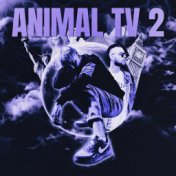 Animal TV 2