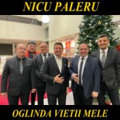 Oglinda Vietii Mele