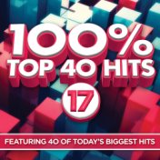 100% Top 40 Hits 17