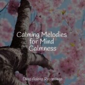 Calming Melodies for Mind Calmness