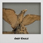 Grey Eagle