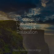 40 Sounds of Nature for Healing & Relaxation