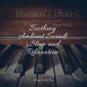 Soothing Ambient Sounds | Sleep and Relaxation