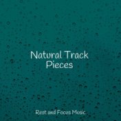 Natural Track Pieces