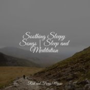 Soothing Sleepy Songs | Sleep and Meditation