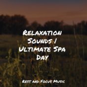 Relaxation Sounds | Ultimate Spa Day