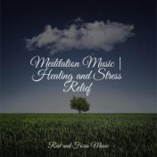 Meditation Music | Healing and Stress Relief