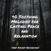 40 Soothing Melodies for Lasting Peace and Relaxation