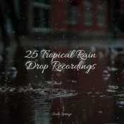 25 Tropical Rain Drop Recordings