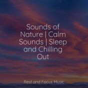 Sounds of Nature | Calm Sounds | Sleep and Chilling Out