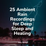 25 Ambient Rain Recordings for Deep Sleep and Healing