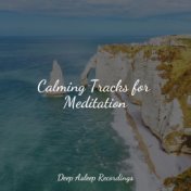 Calming Tracks for Meditation