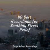 40 Best Recordings for Soothing Stress Relief