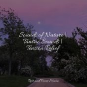 Sounds of Nature | Tantric Sounds | Tension Relief