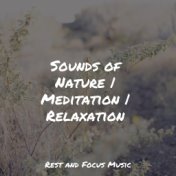 Sounds of Nature | Meditation | Relaxation