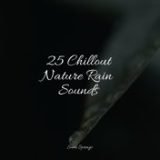 25 Chillout Nature Rain Sounds