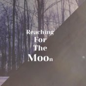 Reaching For The Moon