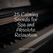 25 Calming Sounds for Spa and Absolute Relaxation