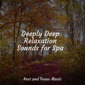 Deeply Deep Relaxation Sounds for Spa