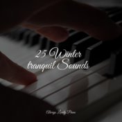 25 Winter tranquil Sounds