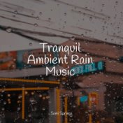 Tranquil Ambient Rain Music