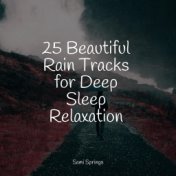 25 Beautiful Rain Tracks for Deep Sleep Relaxation
