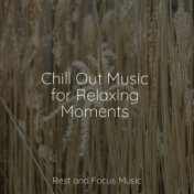 Chill Out Music for Relaxing Moments