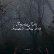 Peaceful Rain Sounds for Deep Sleep