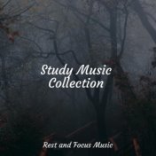 Study Music Collection