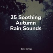 25 Soothing Autumn Rain Sounds