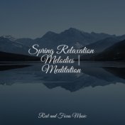 Spring Relaxation Melodies | Meditation