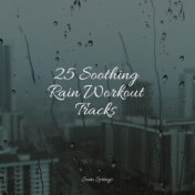 25 Soothing Rain Workout Tracks